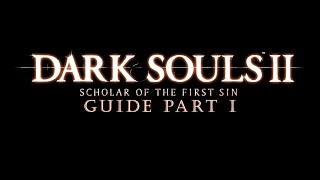 DARK SOULS II: Scholar of the First Sin | ГАЙД на анимации | Часть I