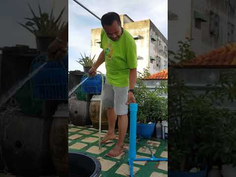 ตูดเล็ก ๆ ของเธอจะใช้เวลากระเจี๊ยว หินสำหรับความอ่อนแอ