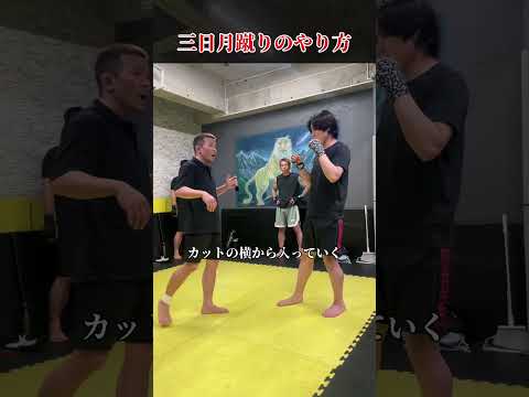 現代キックボクシング必須の技術インローや高いミドルと混ぜて散らすとより効果的 #悠斗 #shorts