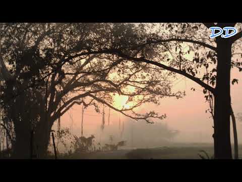 Morning Music Video ❤️❤️❤️