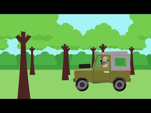 Episodju Nru 81 – It-tigra u ċ-ċita