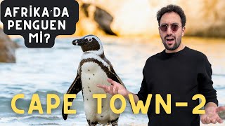 [4K] Cape Town 2 - Penguenler Plajı, Ümit Burnu, Chapman's Peak