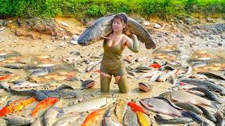 Download lagu Harvesting Many Big Fish At Pond with Phương -- Use Truck Transport Fish Go To Market Sell mp3 Download lagu Harvesting Many Big Fish At Pond with Phương -- Use Truck Transport Fish Go To Market Sell mp3