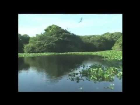 RAUL FUENTES-- LLANERO EN TIEMPOS DE AYER--