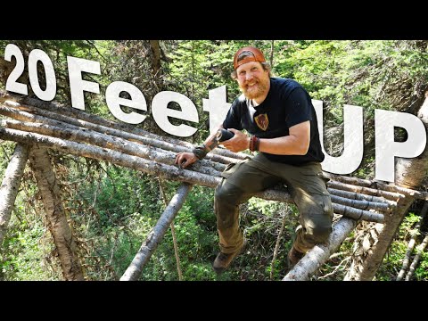 Bear Safe Tree Fort In Grizzly Territory Day 20 of 30 Day Survival Challenge Canadian Rockies