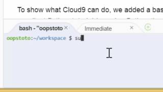 [장고를 활용한 웹사이트 만들기] 외부에서 서버 접속하기-개발서버