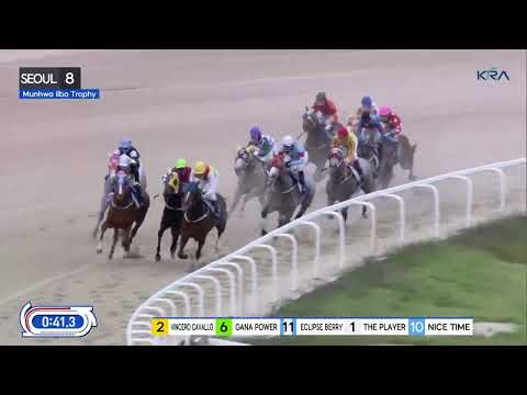 (Seoul) 2023.10.08 R8 Class Open (1200M) Special Weight A - Munhwa Ilbo Trophy (KOR-L)