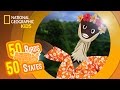 Hawaii Feat Rapper MC Nene The Nene 50 Birds 50 States