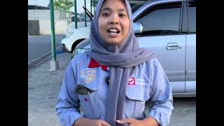 Download lagu SEDANNYA ANAK MUDA 80JUTAAN CASH - PRABU MOTOR HARI INI mp3