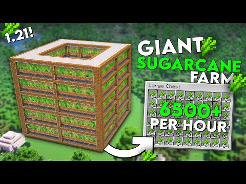 Minecraft Automatic Sugarcane Farm 1.21 ( Java & Bedrock ) Best & Super Efficient