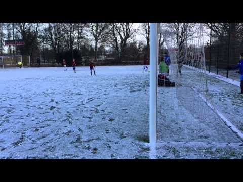 Overbos E5 (24 januari 2015)