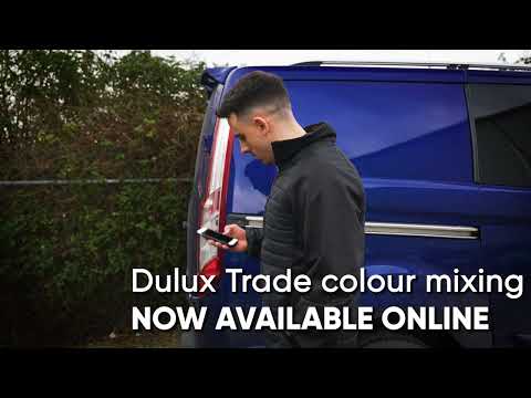 Dulux Trade Vinyl Silk Paint Chic Shadow