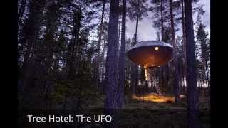 Treehotel: The UFO, Luleå, Sweden