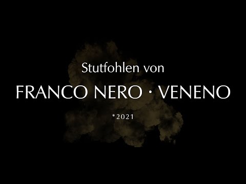 Stutfohlen von Franco Nero - Veneno