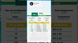 Será que vale a pena investir na RANI3?