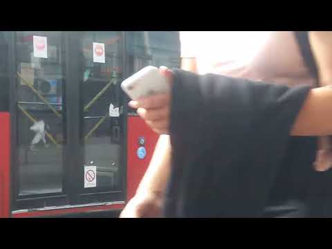 GULERYUZ COBRA GD-272 LF (linija 84)