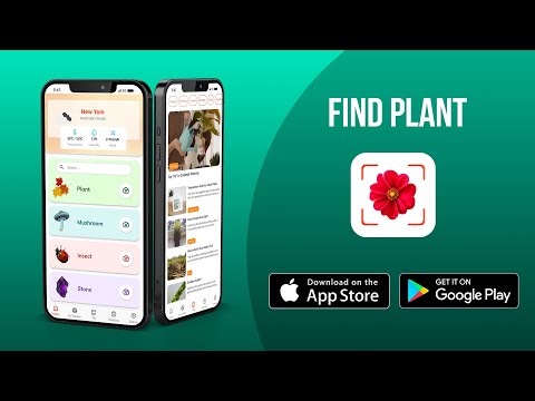 Plant App - Identifier & Care Video