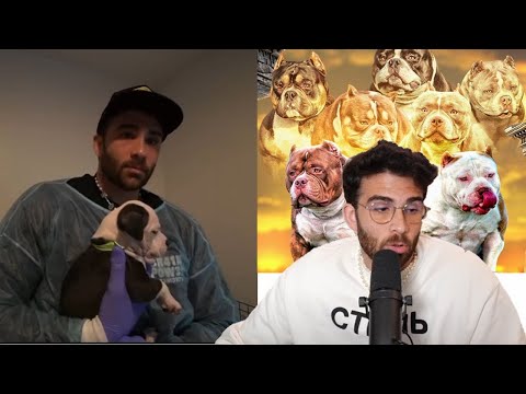 Puppy Watch: HasanAbi Talks About Pet Adoption