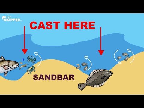 Surf fishing 101: HOW TO CATCH FISH by Reading Waves!
