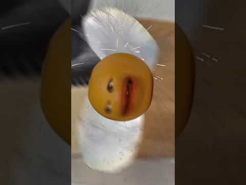 驚喜的氣囊 #短褲 (Surprise Airbag #Shorts)