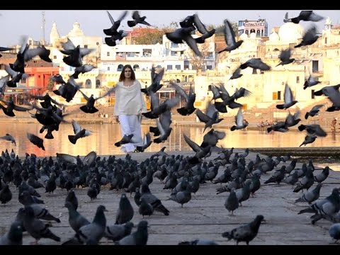 The Bhaktas - Ananda Purnima (Feat. Jai Uttal) - Amazing Journey to India.....
