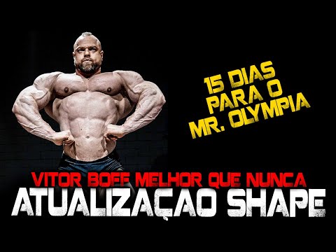THE BEST VERSION OF VITOR BOFF - SHAPE UPDATE