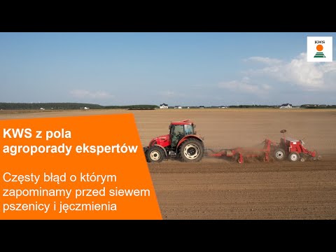 Pokaż video