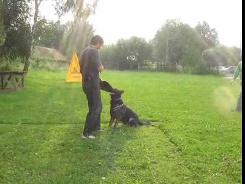 Barí z Jukasu - defence - 20 months