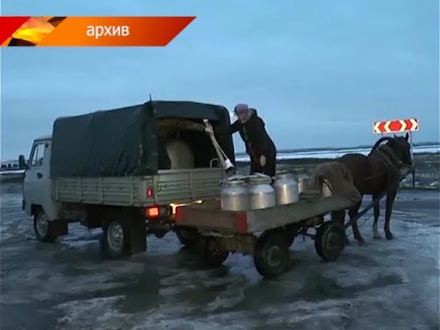 Почем молоко?