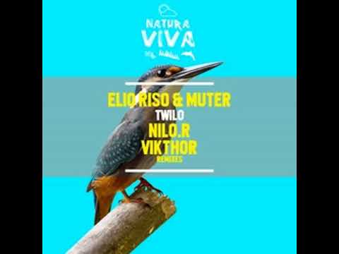 Elio Riso & Muter - Twilo (Vikthor Remix)[64kb/s]