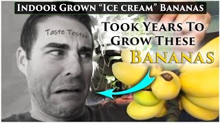 Tasting My Blue Java Ice Cream Bananas for the First Time