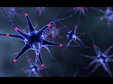 Pompa zewnętrzną mięsień uda Mięsień naramienny waga