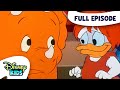 Bubba Trubba DuckTales S2 E3 Full Episode Disneykids