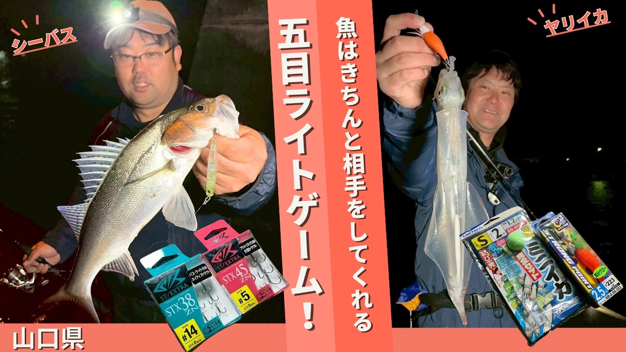 萩市の波止から人気の五目ライトゲーム！【フィッシングトリップ】