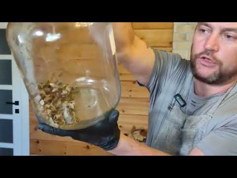 Грубая фильтрация настойки медвежьей желчи с помощью вакуумного насоса