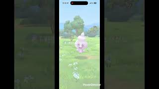 色違いバニプッチ✨ #pokemongo #ポケモン #ポケgo #ポケモンgo #shinypokemon #pokemon #pokémon