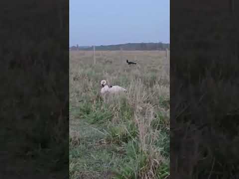 Meridiano SP lugar de paz ✌️