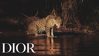 Dior PARFUMS CHRISTIAN DIOR X WWF - Jaguar Rising