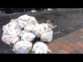 Seagull S Breakfast In Glasgow