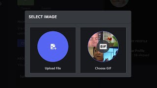 Discord Leak: Avatar GIF Picker
