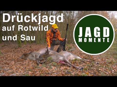 Drückjagd auf Rotwild und Sau mit Stefan | JagdMomente mit Freunden | Folge 4