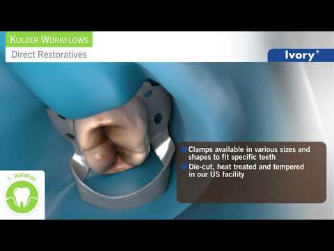 Kulzer Direct Restorations Workflow Solutions Featuring new Venus One Composites