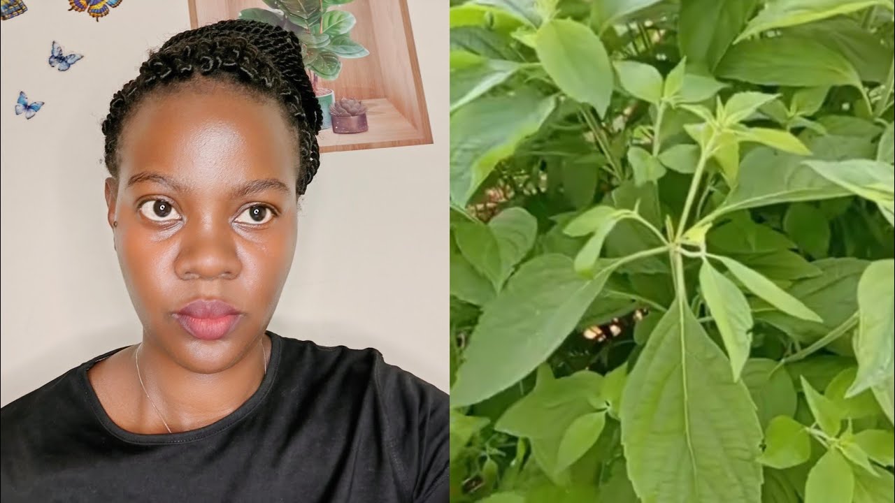 Edagala eliwonyeza dala kabotongo