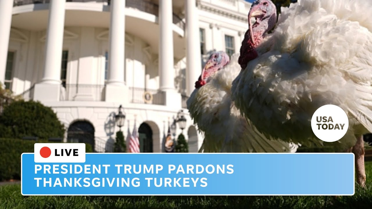 President Trump expected to pardon Thanksgiving turkeys