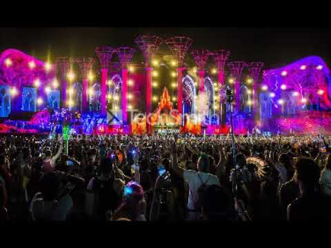 Michael Mind Project feat. Dante Thomas - Feeling So Blue VS twoloud - The Biz (Dj Paoli MASHUP)