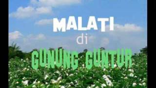 Download lagu Mang Koko - Malati Di Gunung Guntur mp3 Download lagu Mang Koko - Malati Di Gunung Guntur mp3