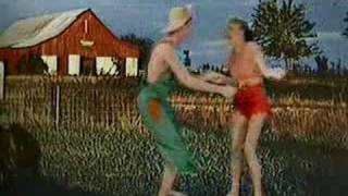 The Blasters - Barefoot Rock