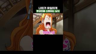원피스) 나미가 유일하게 루피만큼 신뢰하는 남자