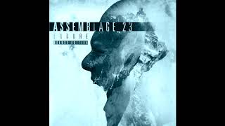 Assemblage 23 - Bravery (Interface Remix)