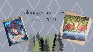 Coloriages terminés janvier 2023 - Finished pages